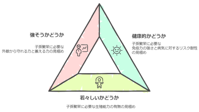 男のスト値の測り方女子からの測られ方